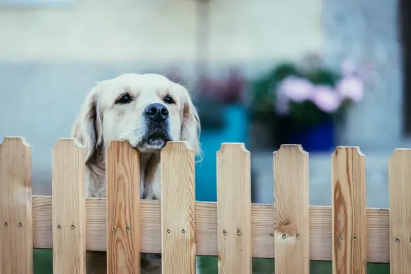 How Long Do Wood Fences Last in Collinsville, IL